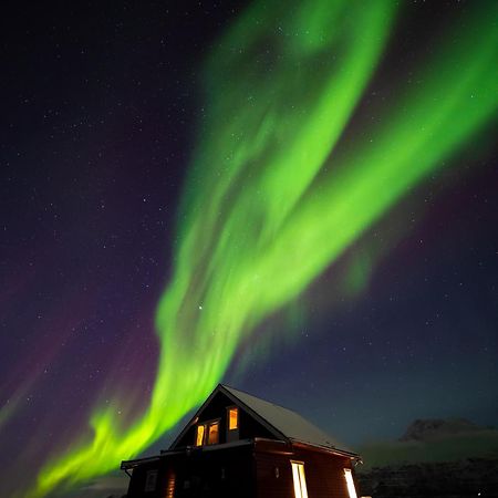3Art Recreation Daire Tromsø Dış mekan fotoğraf