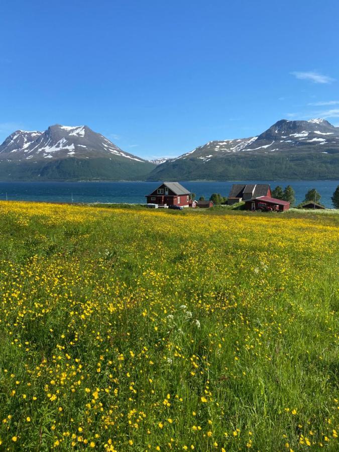 3Art Recreation Daire Tromsø Dış mekan fotoğraf