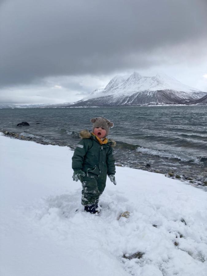 3Art Recreation Daire Tromsø Dış mekan fotoğraf