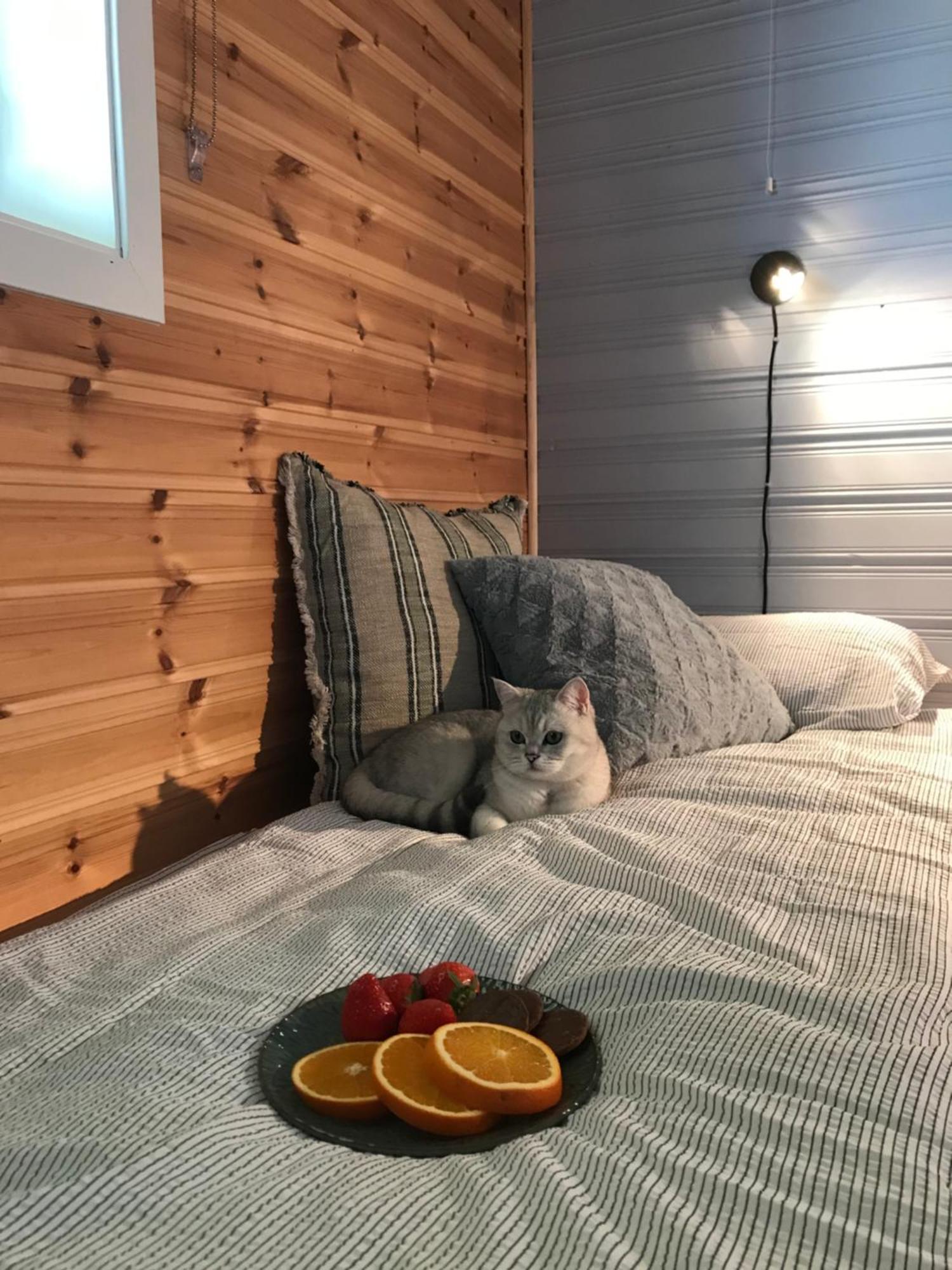 3Art Recreation Daire Tromsø Dış mekan fotoğraf