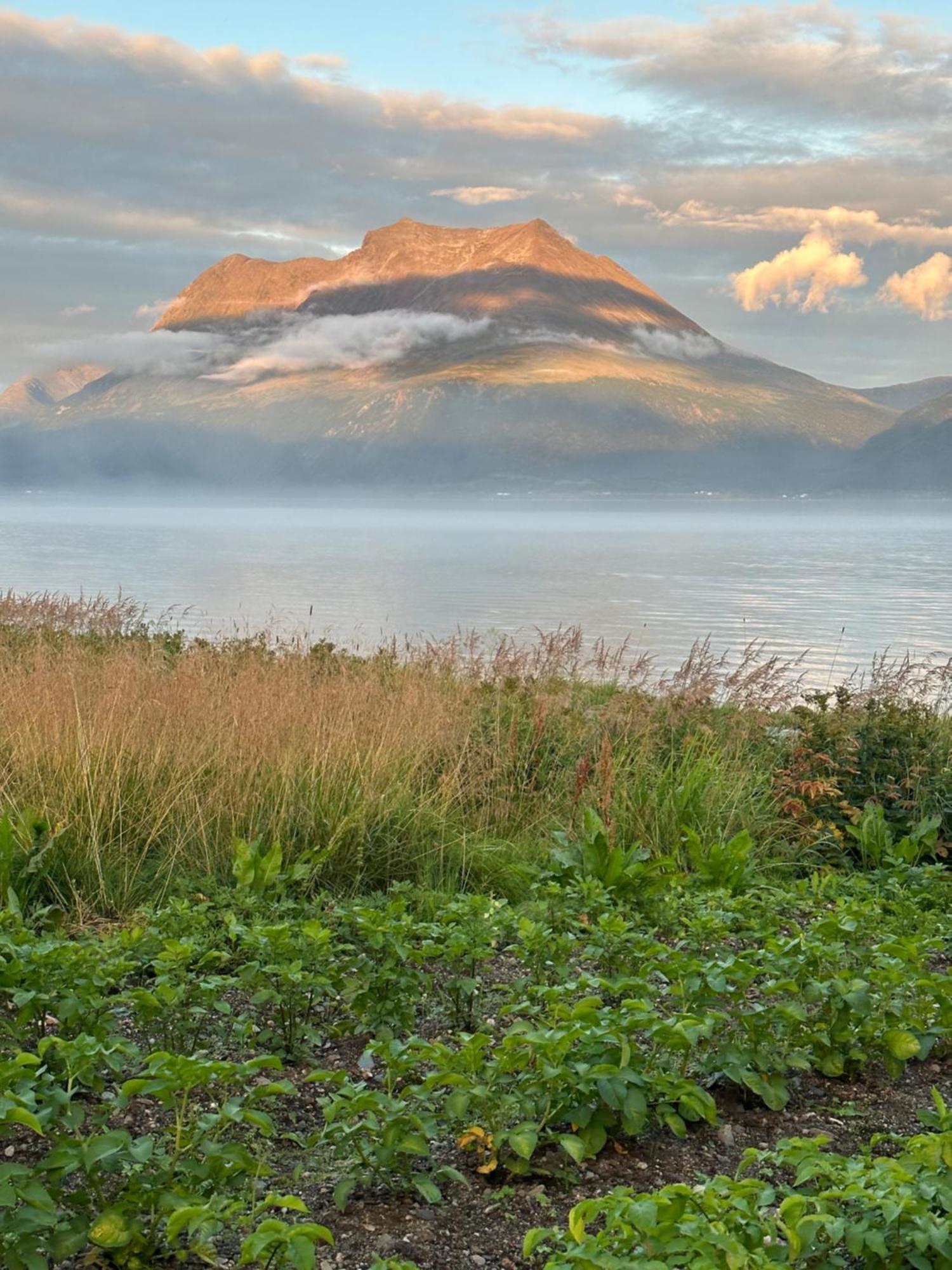 3Art Recreation Daire Tromsø Dış mekan fotoğraf