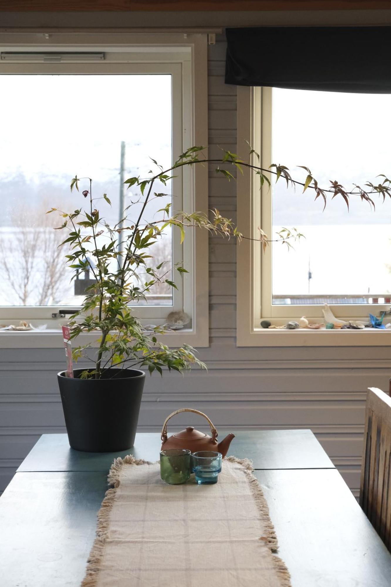 3Art Recreation Daire Tromsø Dış mekan fotoğraf